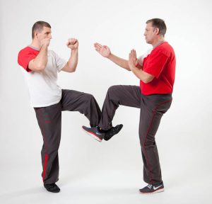 WingTsun_Schroen-2